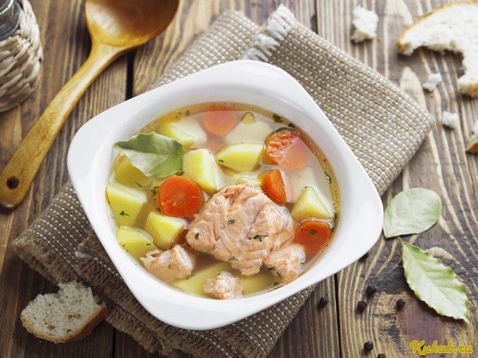 домашняя, морского, окуня домашняя, морского, окуня