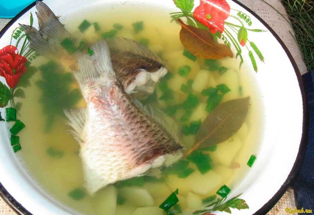 классическая, карася классическая, карася