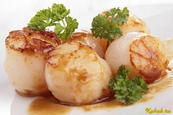 морские, гребешки