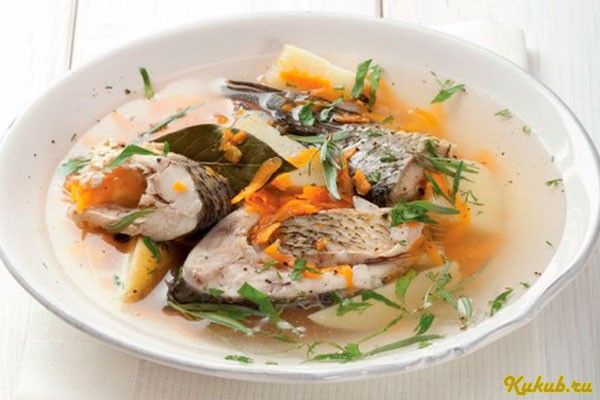 речной, рыбы речной, рыбы