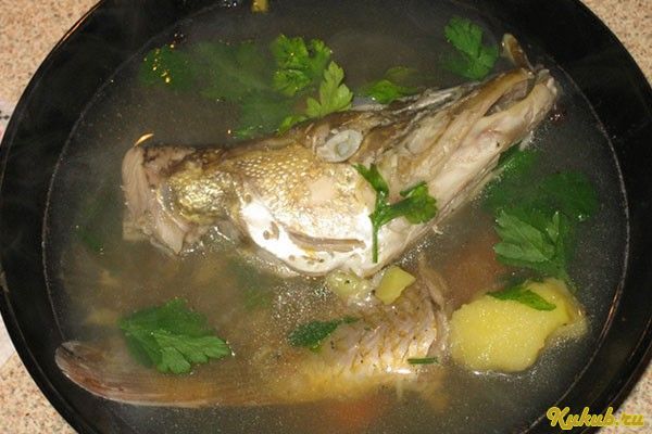 щуки, филе, сома