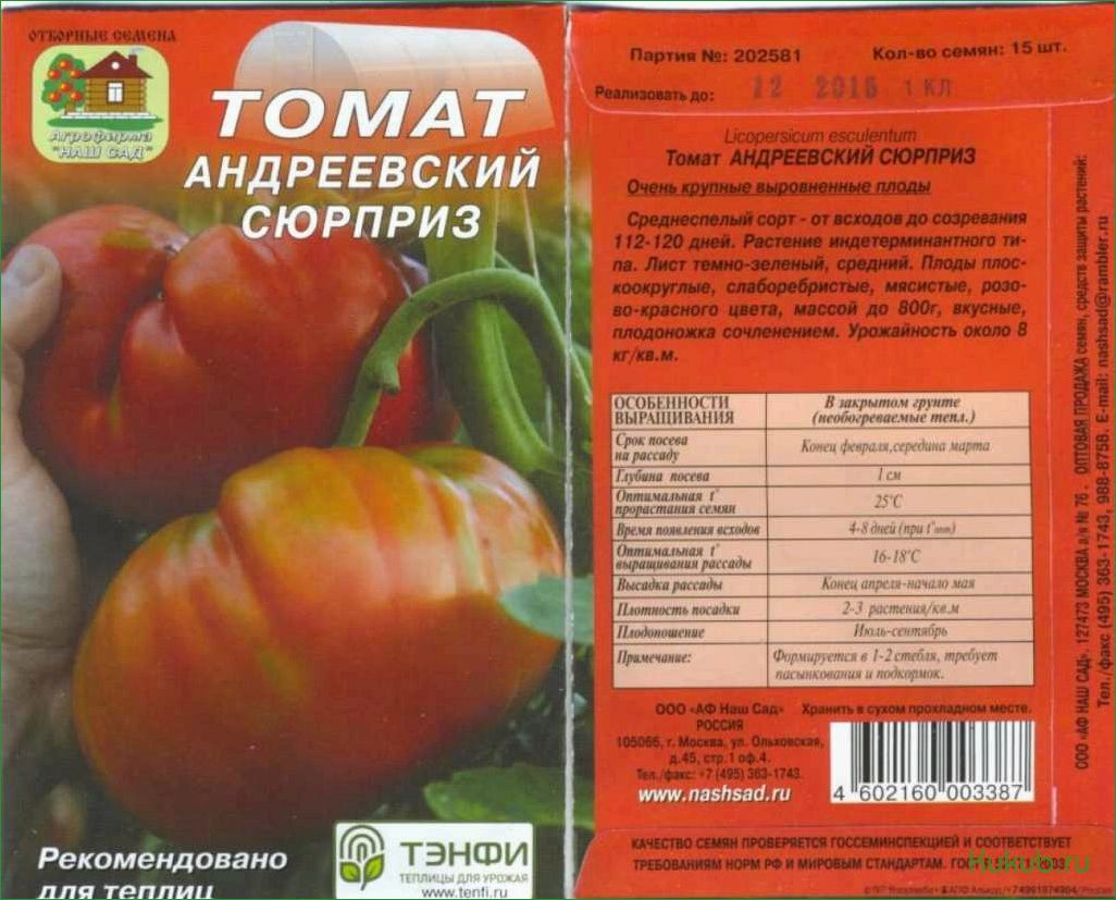 Открытие сезона: Андреевский сюрприз томат! Как вырастить и удивить своих гостей